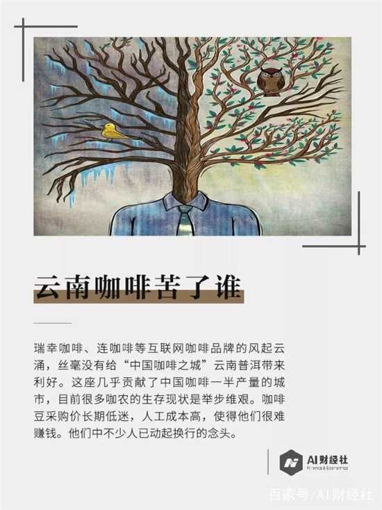 云南咖啡劣幣驅(qū)逐良幣，咖農(nóng)種一年虧損十幾萬(wàn)