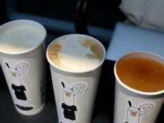 徐小包奶茶加盟條件是什么？喝徐小包奶茶把你寵成寶！