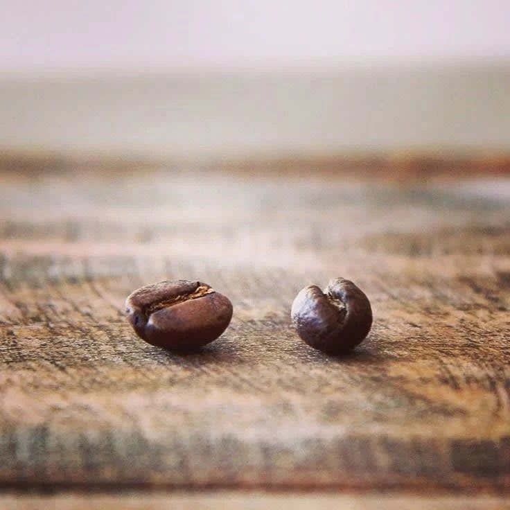 公豆？母豆？圓豆Peaberry咖啡會(huì)更好喝一點(diǎn)嗎？
