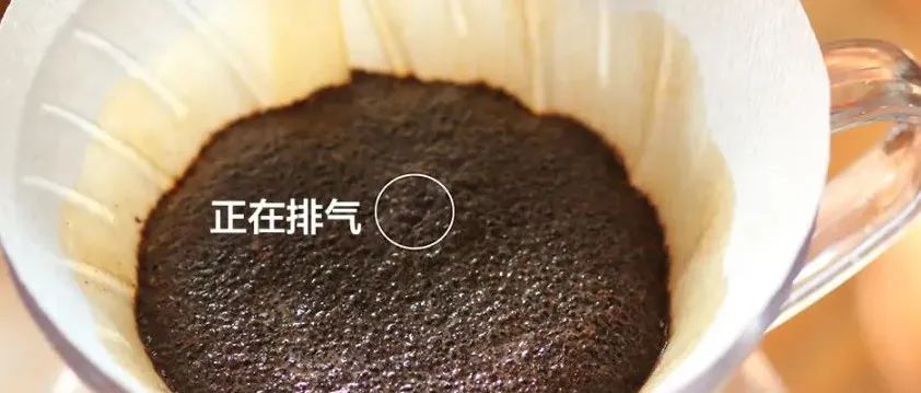 悶蒸階段對于咖啡風味有什么影響？