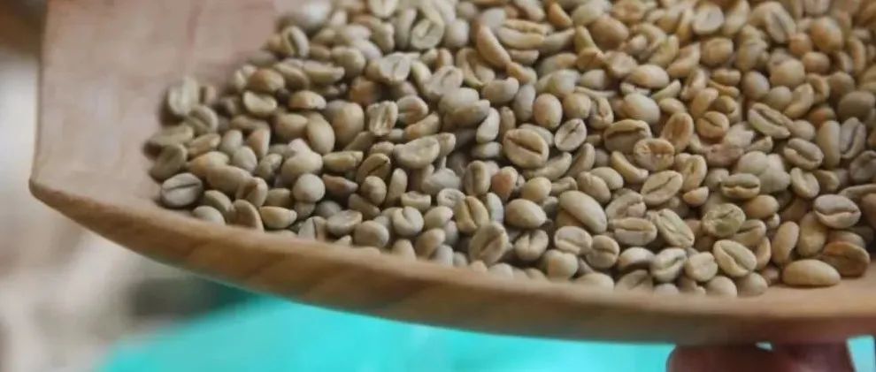 “Heirloom”到底是什么品種？