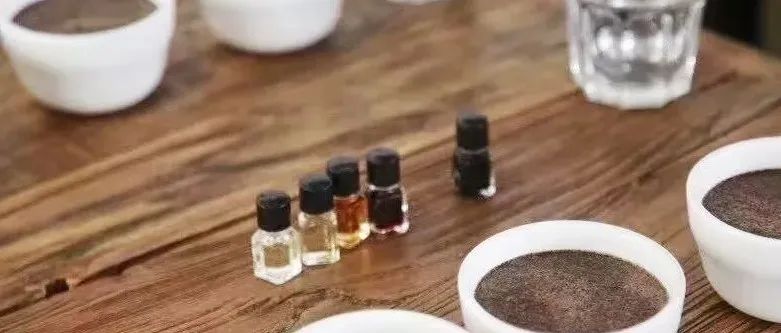 咖啡風味是喝出來的還是聞出來的？