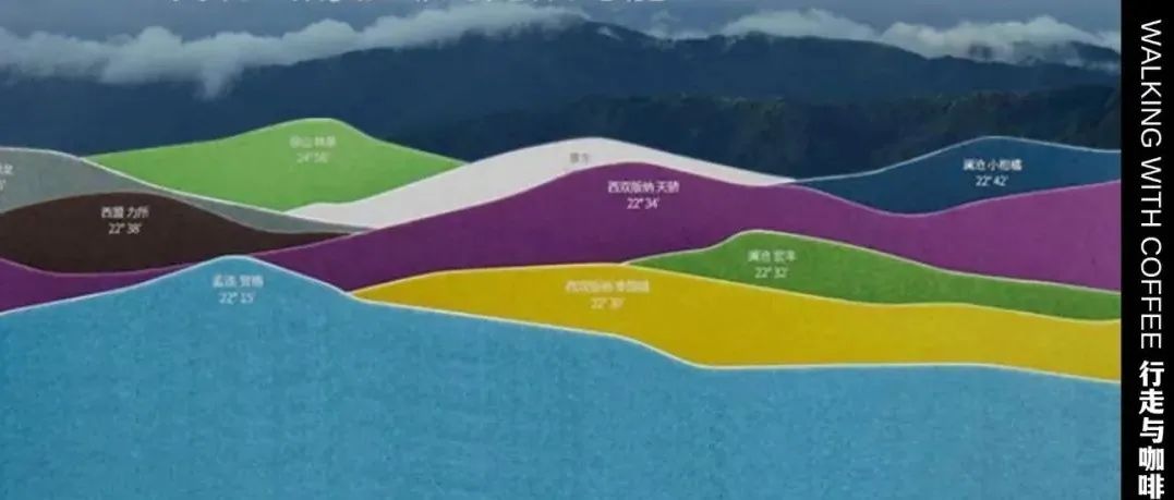 有一份感CAFé的云南咖啡風(fēng)味盒，正在等你免費(fèi)領(lǐng)取